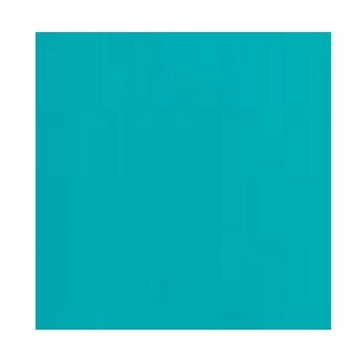 BVL Omnia Paraiba Perfume (Women) Type Body Oils